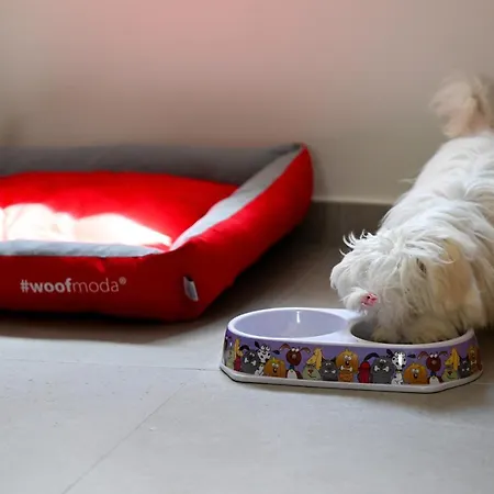 Apartahotel Eumorphia & 4*