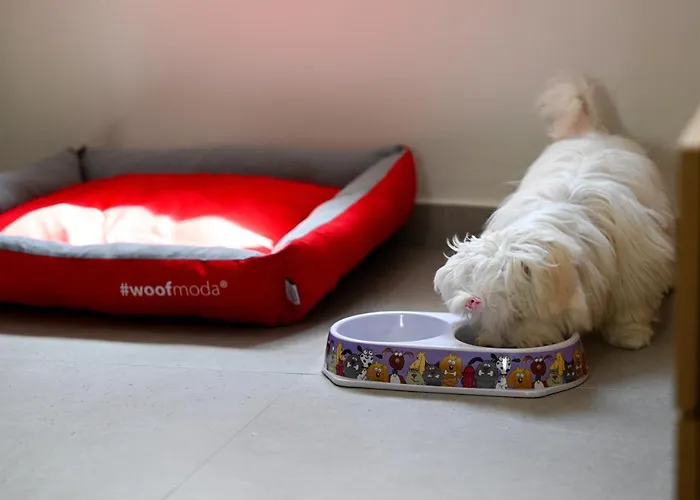 Apart-hotel Eumorphia & 4*