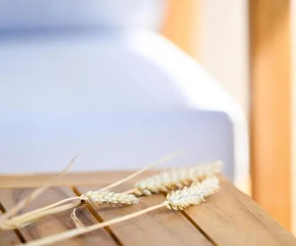 Eumorphia & Skiathos Town